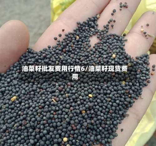 油菜籽批发费用行情6/油菜籽现货费用