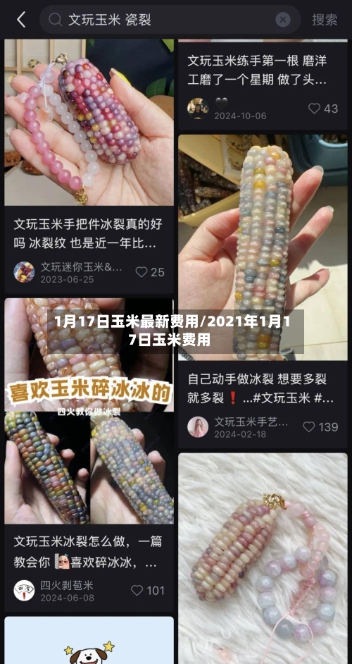 1月17日玉米最新费用/2021年1月17日玉米费用-第3张图片