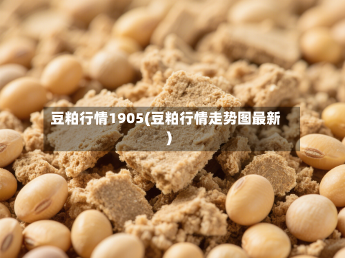 豆粕行情1905(豆粕行情走势图最新)