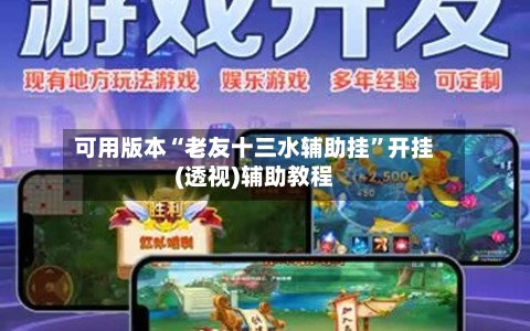 可用版本“老友十三水辅助挂”开挂(透视)辅助教程-第3张图片