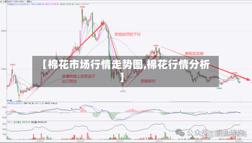 【棉花市场行情走势图,棉花行情分析】