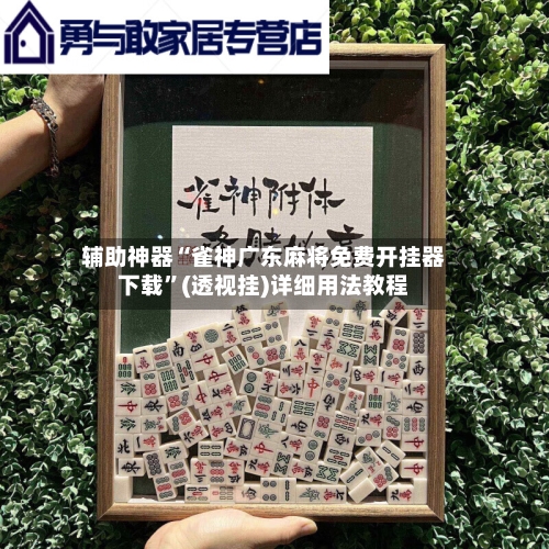 辅助神器“雀神广东麻将免费开挂器下载	”(透视挂)详细用法教程-第2张图片