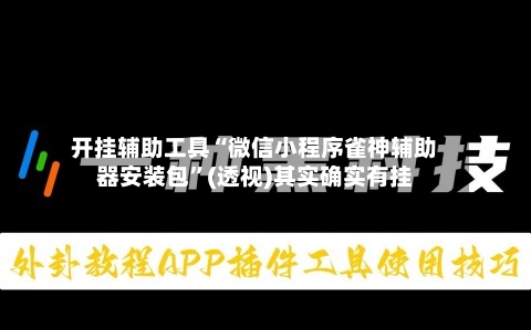 开挂辅助工具“微信小程序雀神辅助器安装包”(透视)其实确实有挂-第2张图片