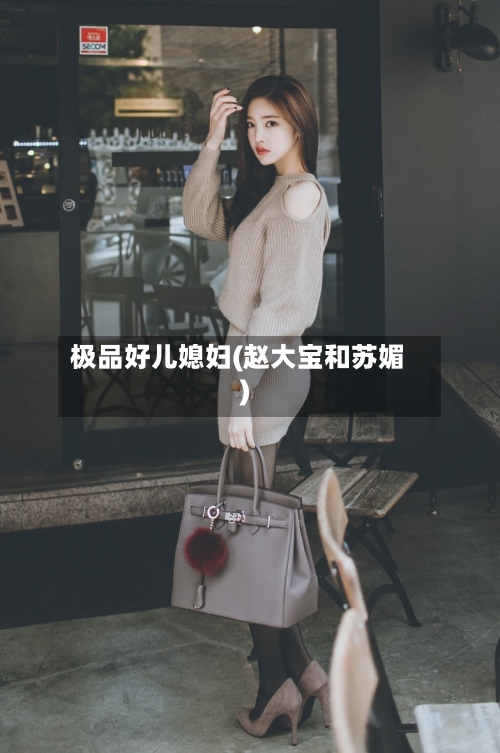 极品好儿媳妇(赵大宝和苏媚)-第2张图片