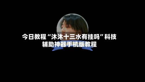今日教程“沐沐十三水有挂吗	”科技辅助神器手机版教程-第2张图片