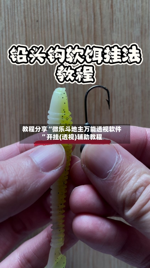 教程分享“微乐斗地主万能透视软件”开挂(透视)辅助教程