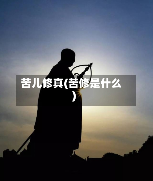 苦儿修真(苦修是什么)