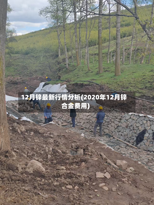 12月锌最新行情分析(2020年12月锌合金费用)-第2张图片