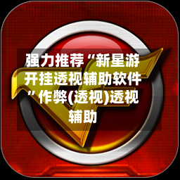 强力推荐“新星游开挂透视辅助软件”作弊(透视)透视辅助-第3张图片