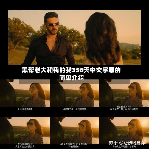 黑帮老大和我的我356天中文字幕的简单介绍-第2张图片