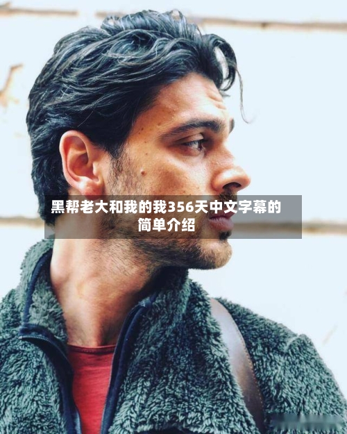 黑帮老大和我的我356天中文字幕的简单介绍-第3张图片