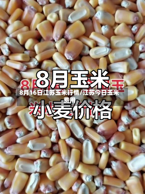 8月16日江苏玉米行情/江苏今日玉米费用-第2张图片