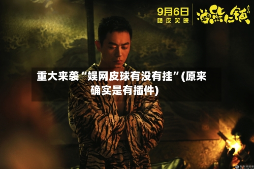 重大来袭“娱网皮球有没有挂”(原来确实是有插件)