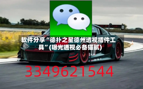 软件分享“德扑之星德州透视插件工具	”(曝光透视必备猫腻)-第2张图片