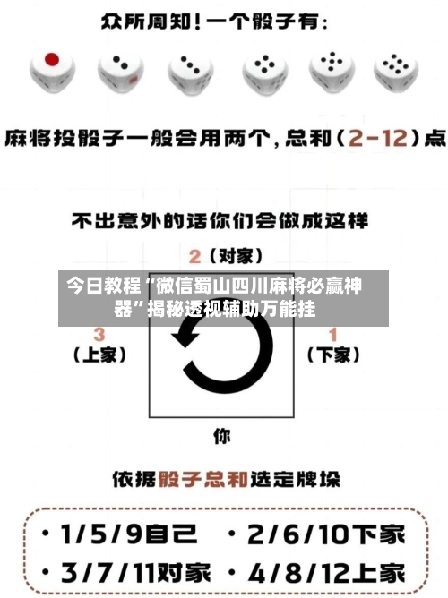 今日教程“微信蜀山四川麻将必赢神器”揭秘透视辅助万能挂-第2张图片