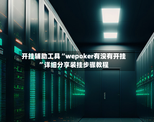 开挂辅助工具“wepoker有没有开挂”详细分享装挂步骤教程-第2张图片