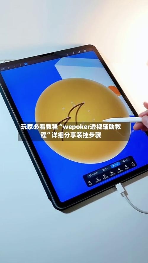 玩家必看教程“wepoker透视辅助教程	”详细分享装挂步骤-第2张图片