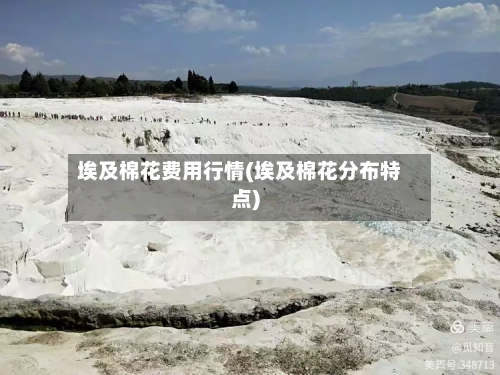 埃及棉花费用行情(埃及棉花分布特点)-第3张图片