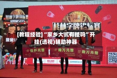 [教程经验]“家乡大贰有挂吗”开挂(透视)辅助神器-第2张图片