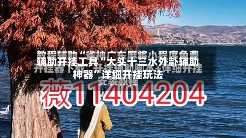 辅助开挂工具“大头十三水外卦辅助神器	”详细开挂玩法-第2张图片