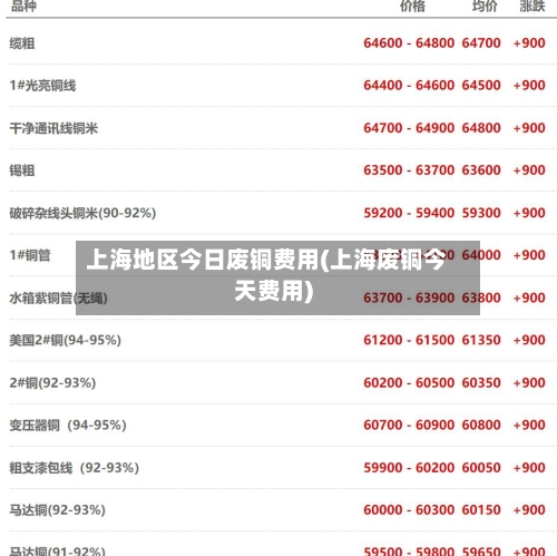 上海地区今日废铜费用(上海废铜今天费用)