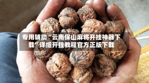 专用辅助“云南保山麻将开挂神器下载”详细开挂教程官方正版下载-第2张图片