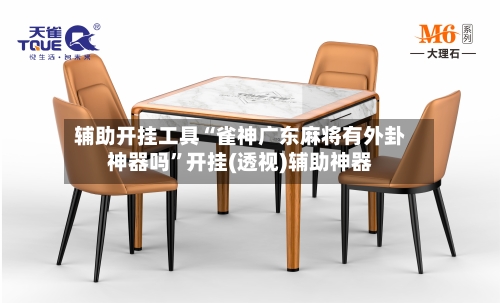 辅助开挂工具“雀神广东麻将有外卦神器吗”开挂(透视)辅助神器-第3张图片