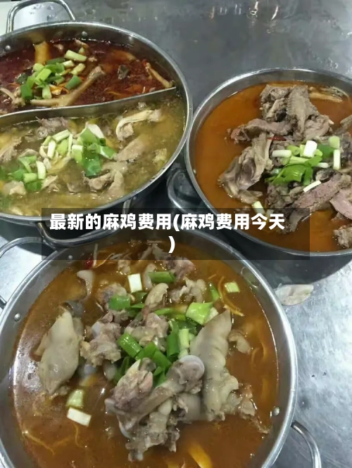 最新的麻鸡费用(麻鸡费用今天)