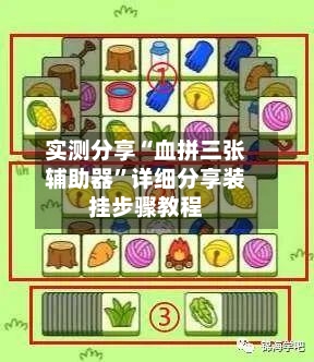 实测分享“血拼三张辅助器”详细分享装挂步骤教程-第2张图片