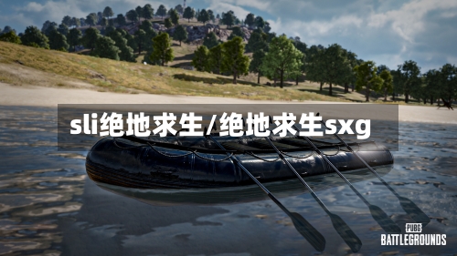 sli绝地求生/绝地求生sxg-第2张图片