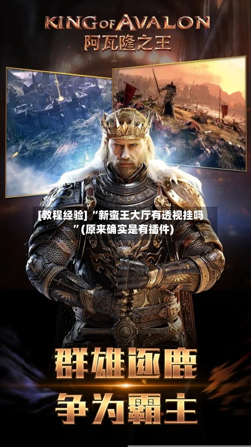 [教程经验] “新蛮王大厅有透视挂吗”(原来确实是有插件)-第3张图片