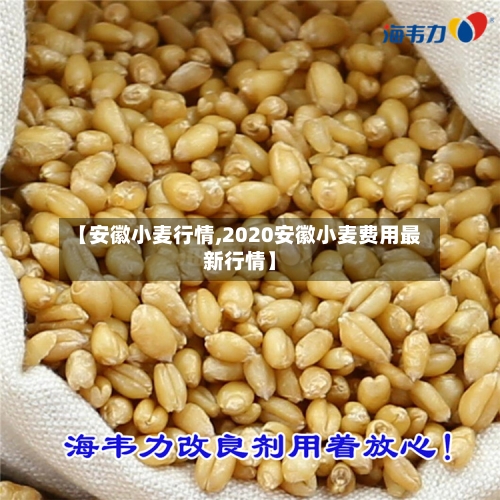 【安徽小麦行情,2020安徽小麦费用最新行情】