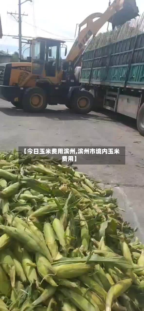 【今日玉米费用滨州,滨州市境内玉米费用】-第2张图片