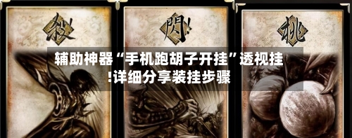 辅助神器“手机跑胡子开挂”透视挂!详细分享装挂步骤-第3张图片