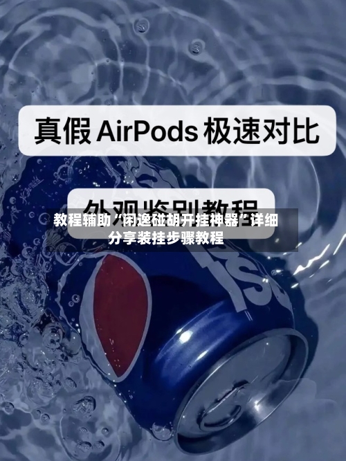 教程辅助“闲逸碰胡开挂神器”详细分享装挂步骤教程