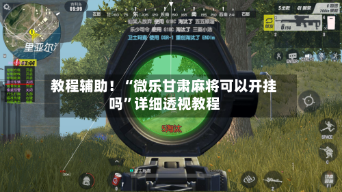 教程辅助！“微乐甘肃麻将可以开挂吗”详细透视教程