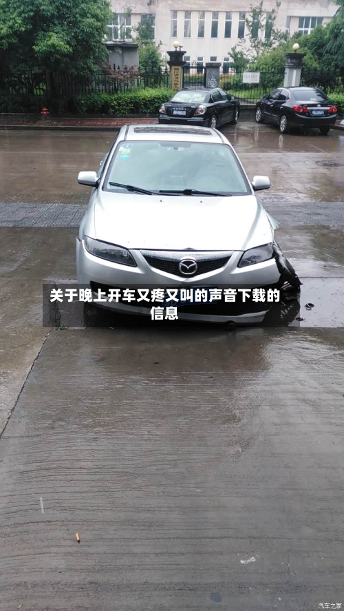 关于晚上开车又疼又叫的声音下载的信息