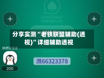 分享实测“老铁联盟辅助(透视)”详细辅助透视-第3张图片