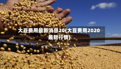 大豆费用最新消息20(大豆费用2020最新行情)-第2张图片