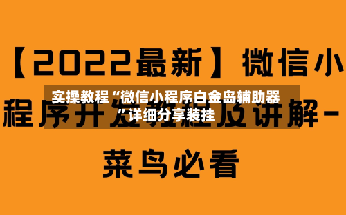 实操教程“微信小程序白金岛辅助器”详细分享装挂-第3张图片