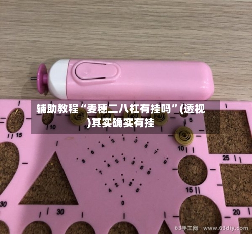 辅助教程“麦穗二八杠有挂吗”(透视)其实确实有挂