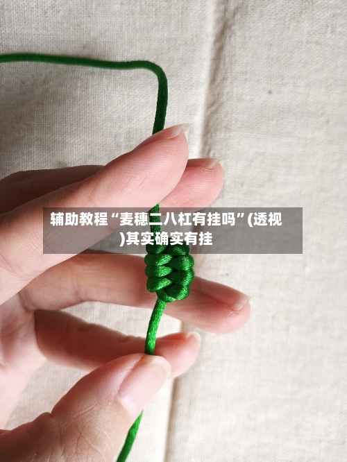 辅助教程“麦穗二八杠有挂吗	”(透视)其实确实有挂-第2张图片