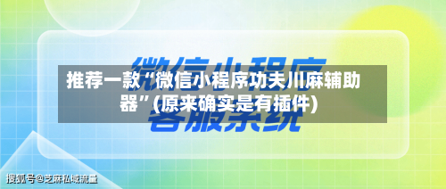 推荐一款“微信小程序功夫川麻辅助器”(原来确实是有插件)