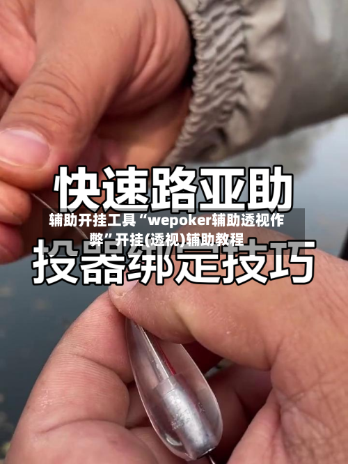 辅助开挂工具“wepoker辅助透视作弊”开挂(透视)辅助教程-第2张图片