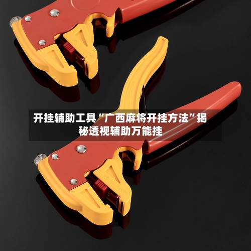 开挂辅助工具“广西麻将开挂方法”揭秘透视辅助万能挂-第3张图片