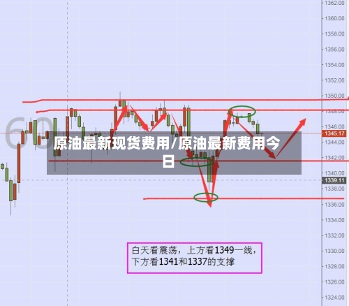 原油最新现货费用/原油最新费用今日-第3张图片