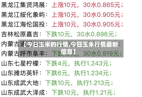 【今日玉米的行情,今日玉米行情最新信息】