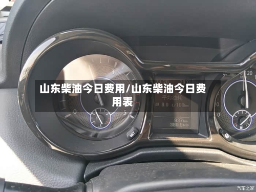 山东柴油今日费用/山东柴油今日费用表-第2张图片