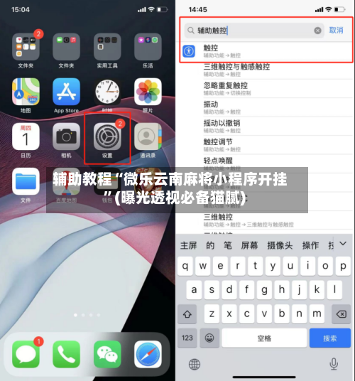 辅助教程“微乐云南麻将小程序开挂”(曝光透视必备猫腻)-第3张图片