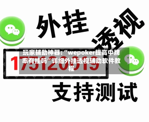 玩家辅助神器:“wepoker提高中牌率有挂吗”详细外挂透视辅助软件教程-第2张图片